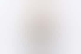 Cookies And Cream | Flower