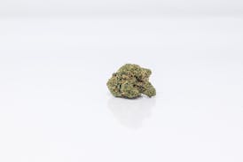Golden Goat | Flower