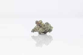 BOLD | Headband Cookies | Flower