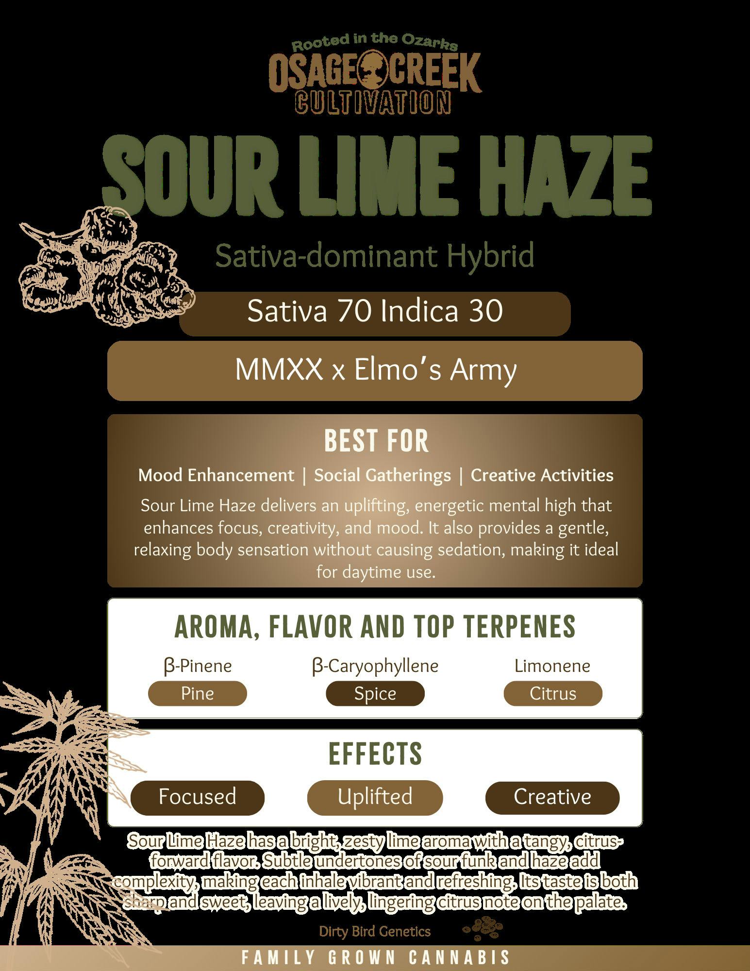Sour Lime Haze | Flower | Top Shelf