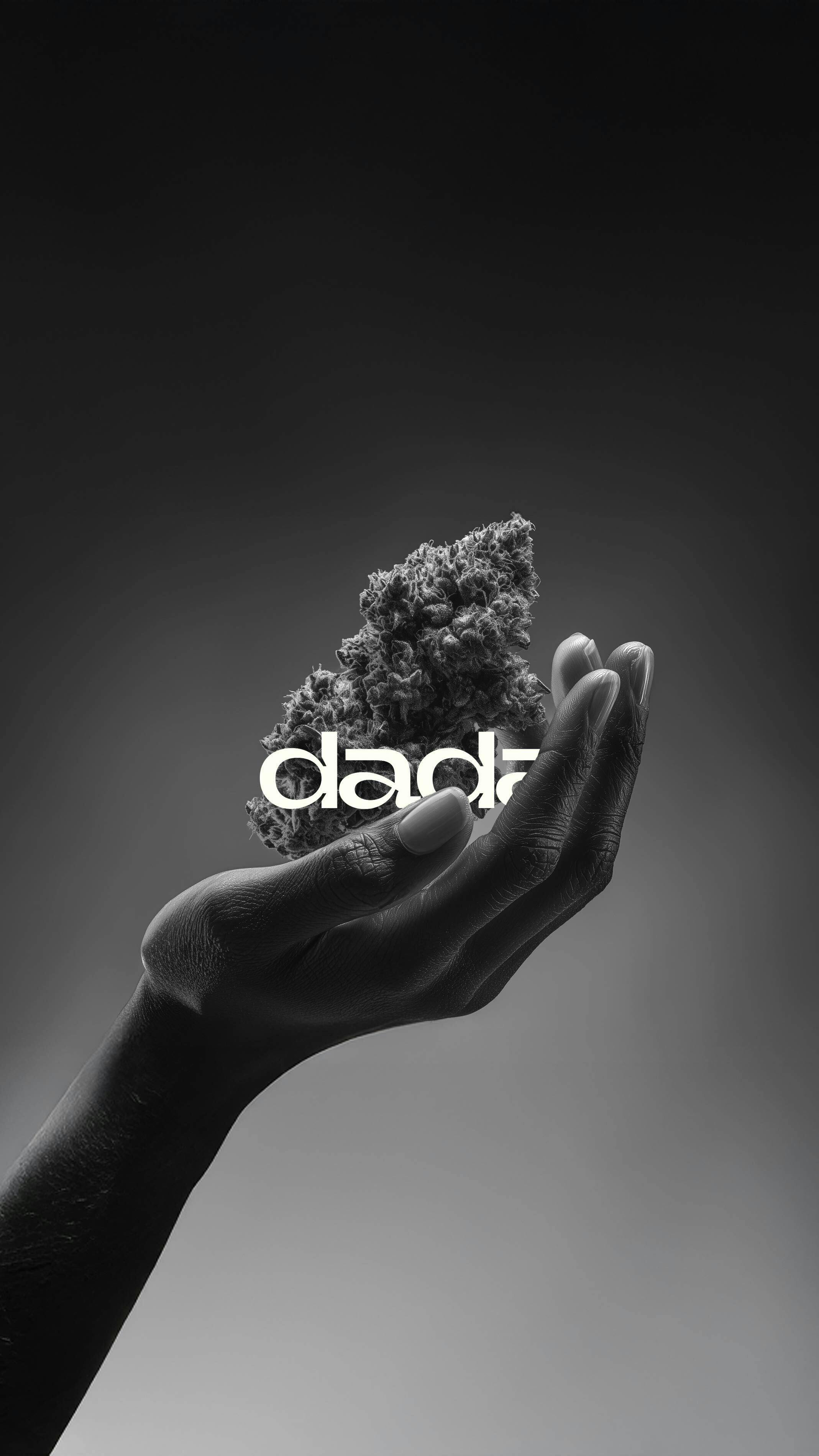 Dada Blueberry Haze