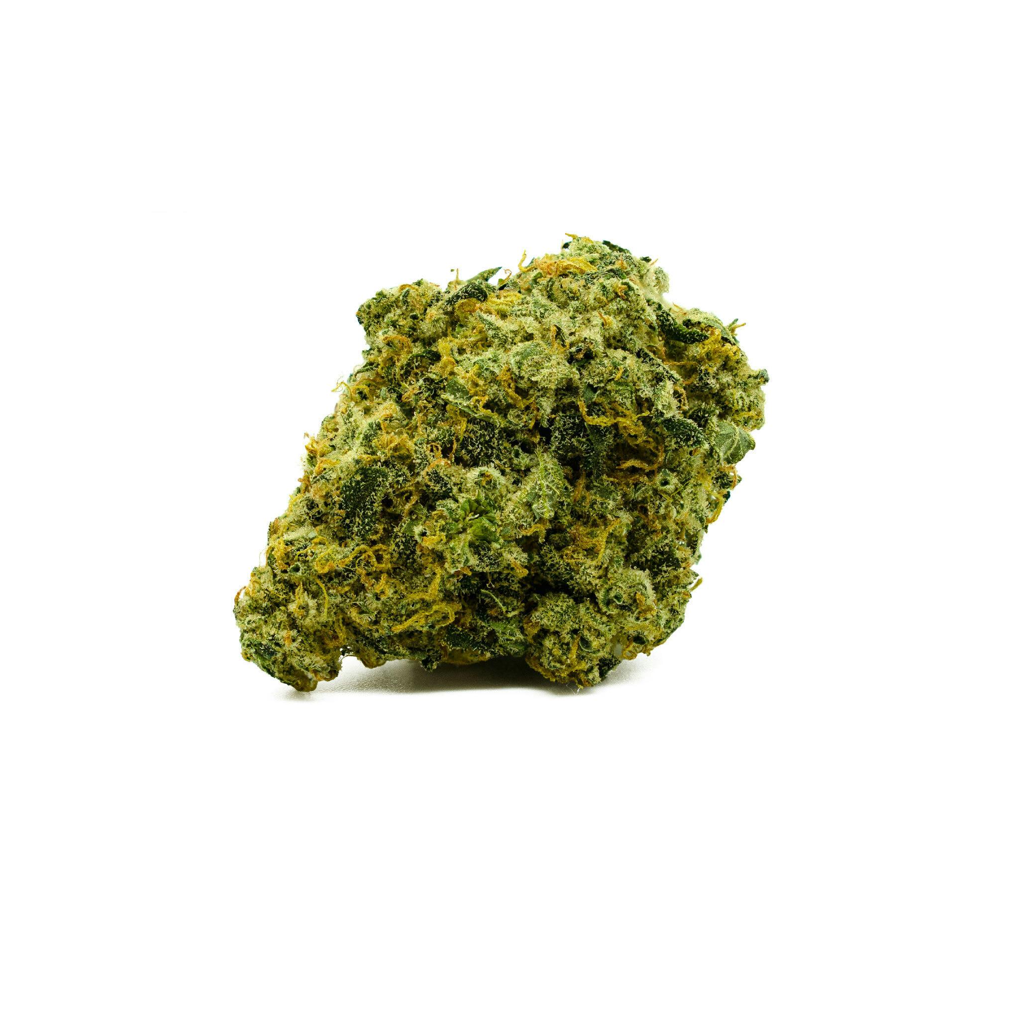 Silver Tip Flower