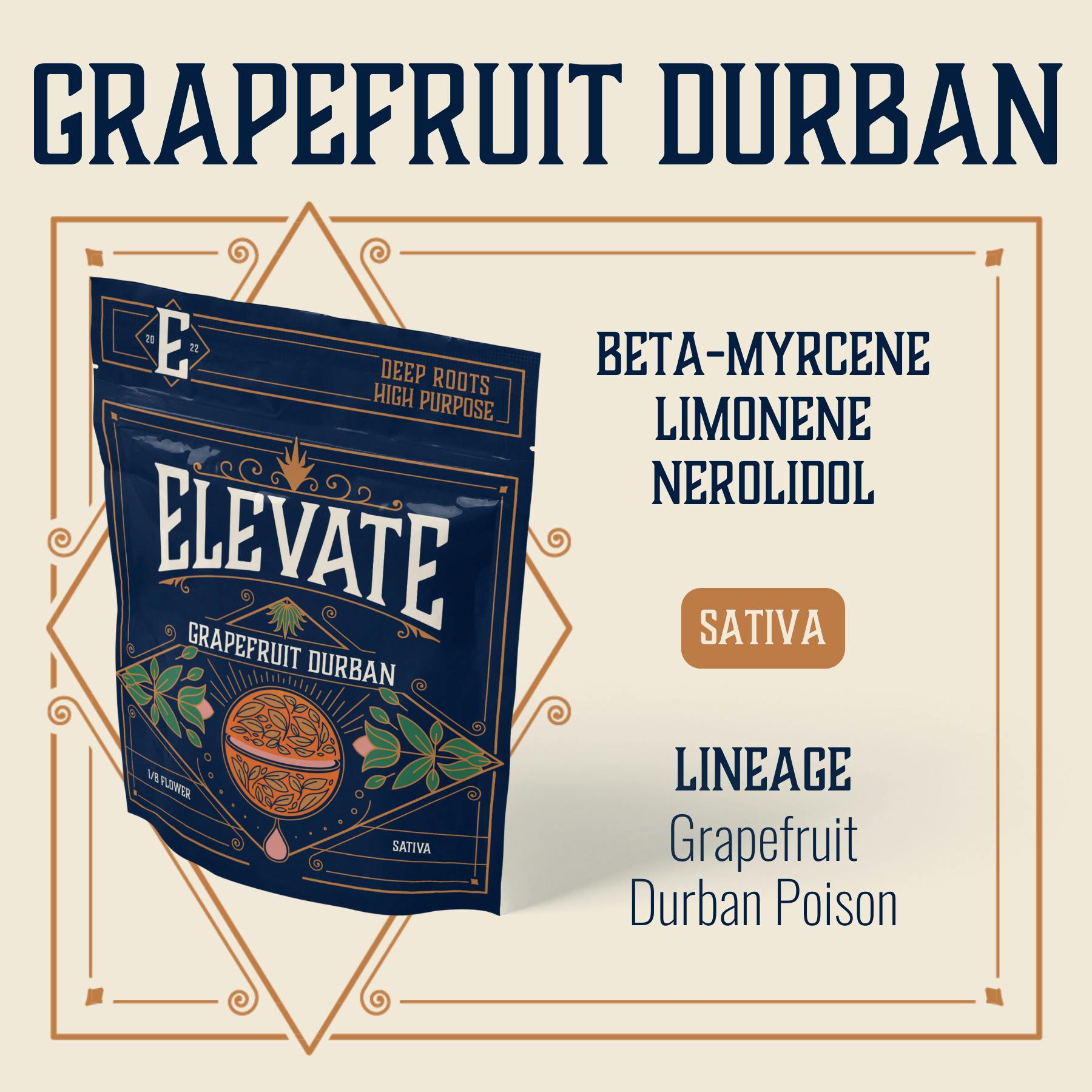 Grapefruit Durban Whole Flower