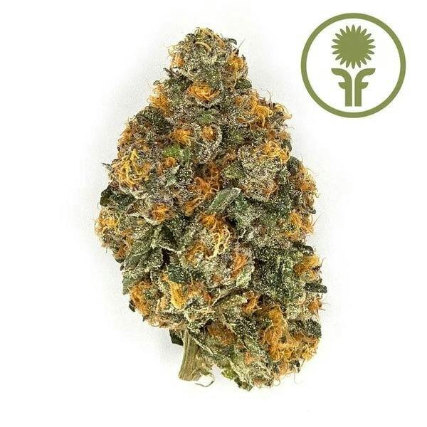 Flower Foundry Havana Kush 1g Flower
