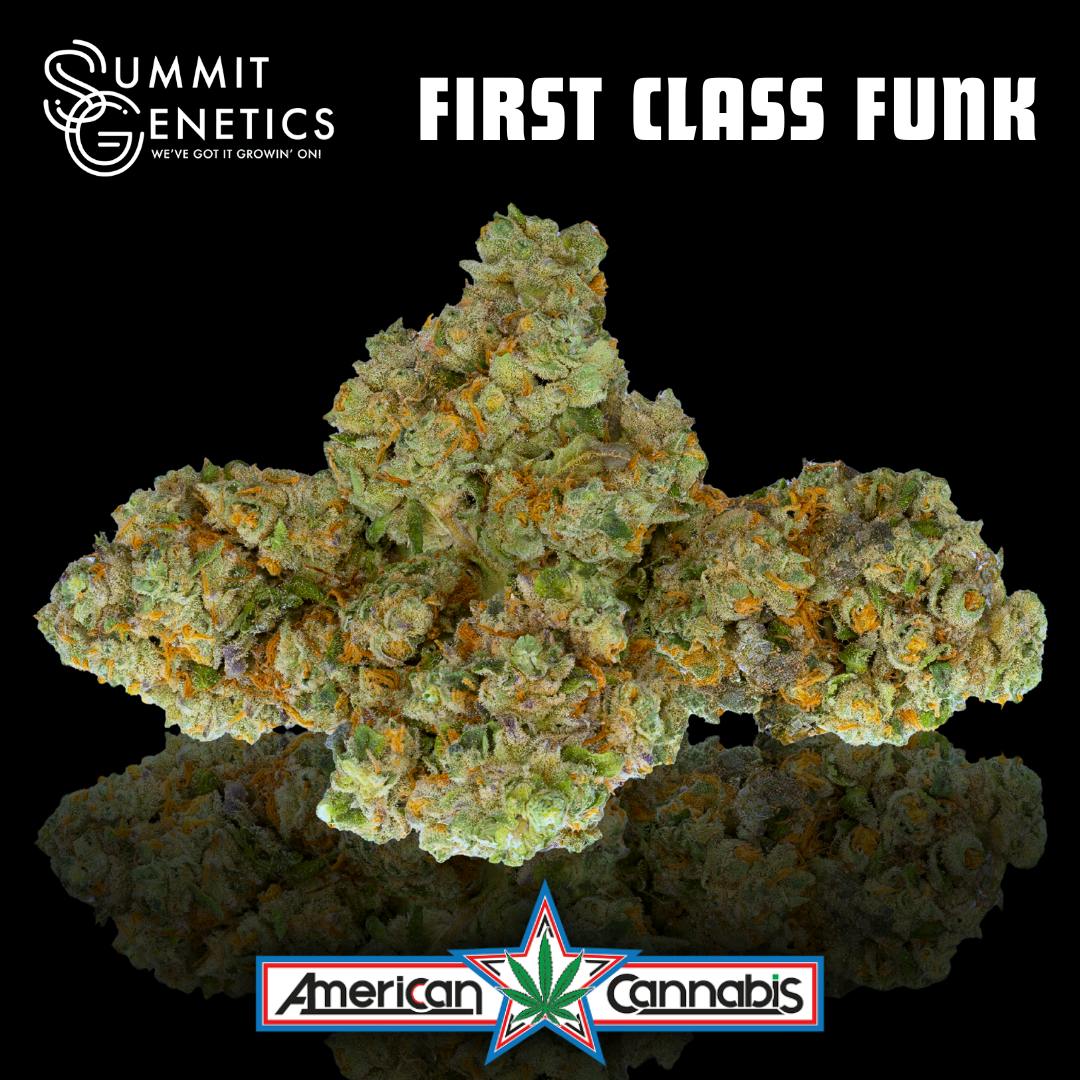 [Flower] Summit Genetics First Class Funk 14g [Indica]