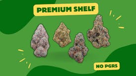 $3 Premium | Gruntz