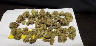 Pure Sunfarms - Sativa - 28g