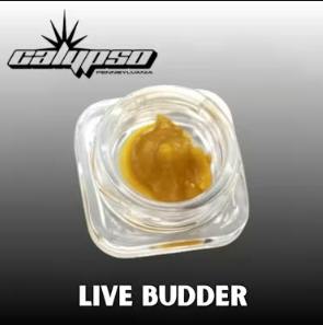 Calypso Sleepwalker Live Budder 2g
