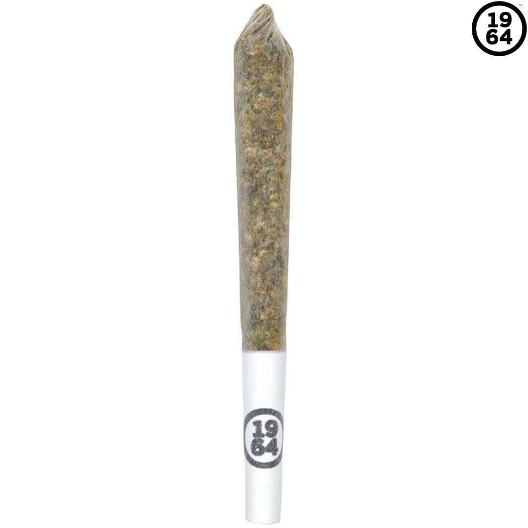 1964 | Comatose Pre-Rolls | 1x1g