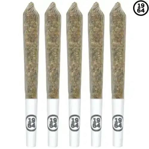 1964 | Gasolina Pre-Rolls | 5x0.5g *