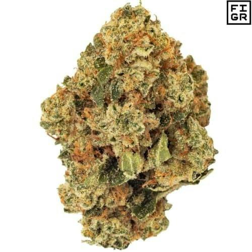 FIGR | Golden Hour Flower | 3.5g *