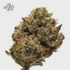 Natty Rems Coney Kush
