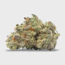 Rare Dankness-Cap Junky (H)