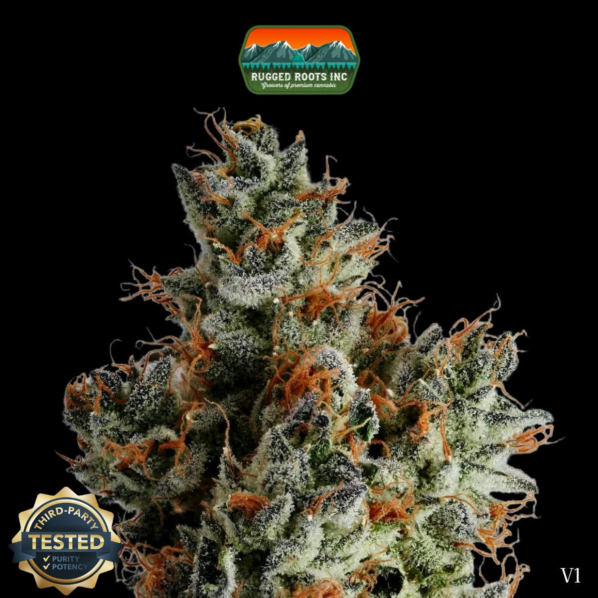 Rugged Roots | Watermelon Gelato Dime Bag at Rugged Roots Trading Post