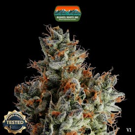 Rugged Roots | Watermelon Gelato Dime Bag