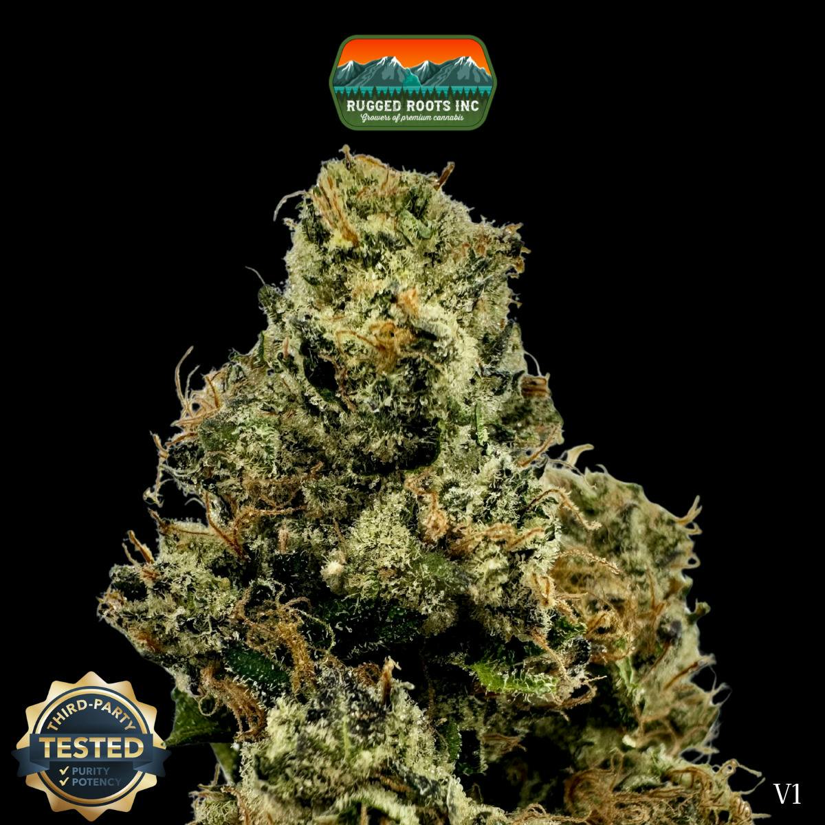 Rugged Roots | Sunset Runtz Dime Bag