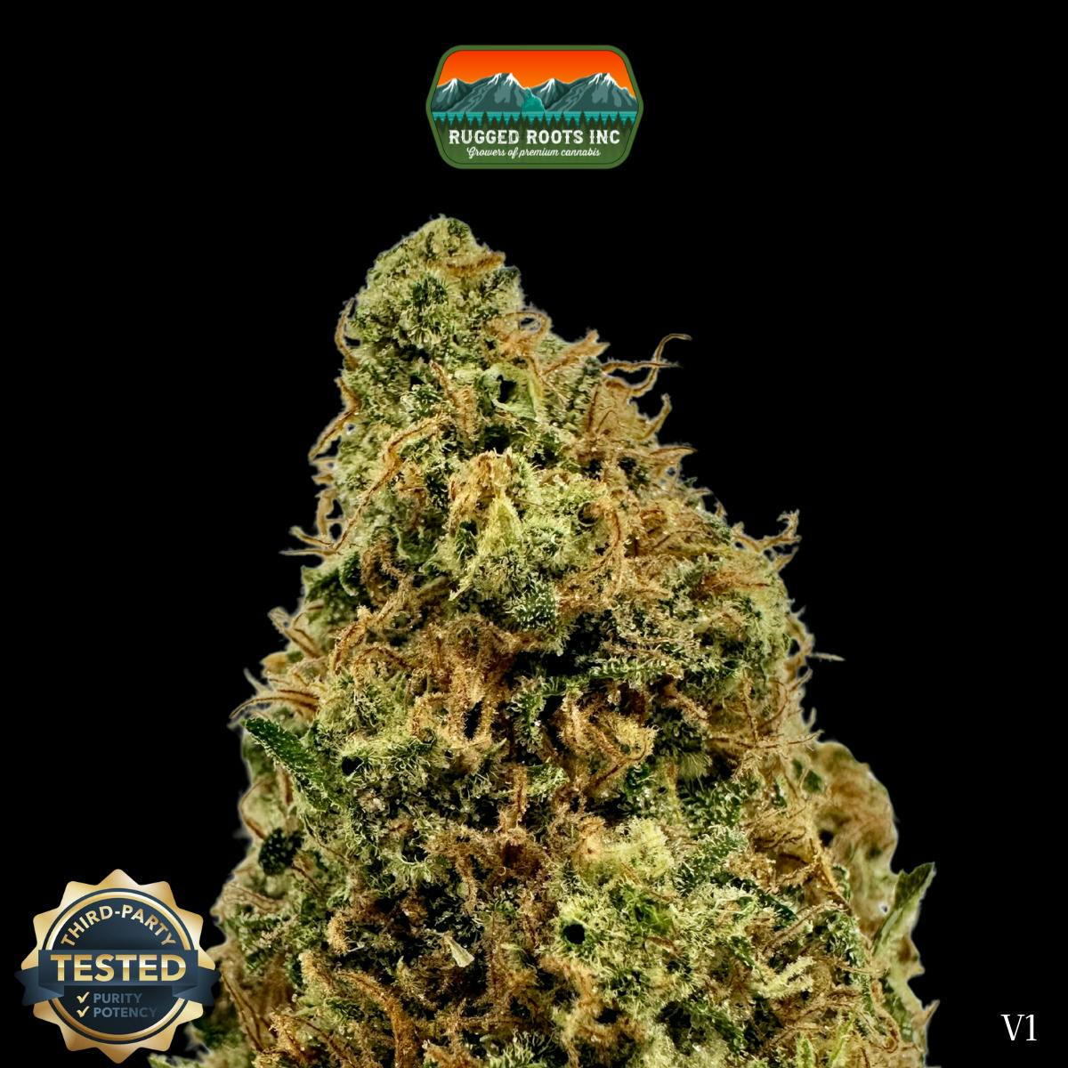 Rugged Roots | Silver Haze Dime Bag at Rugged Roots Trading Post- Bangor
