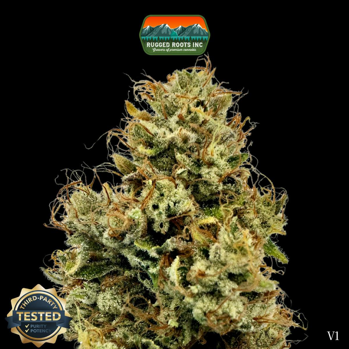 Rugged Roots | Motorbreath Dime Bag at Rugged Roots Trading Post- Bangor