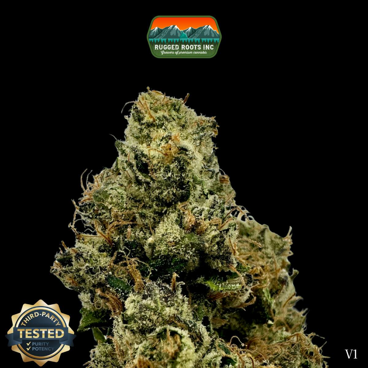 Rugged Roots | Log Cabin OG Dime Bag