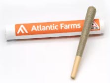 Atlantic Farms | Goji OG Pre Roll