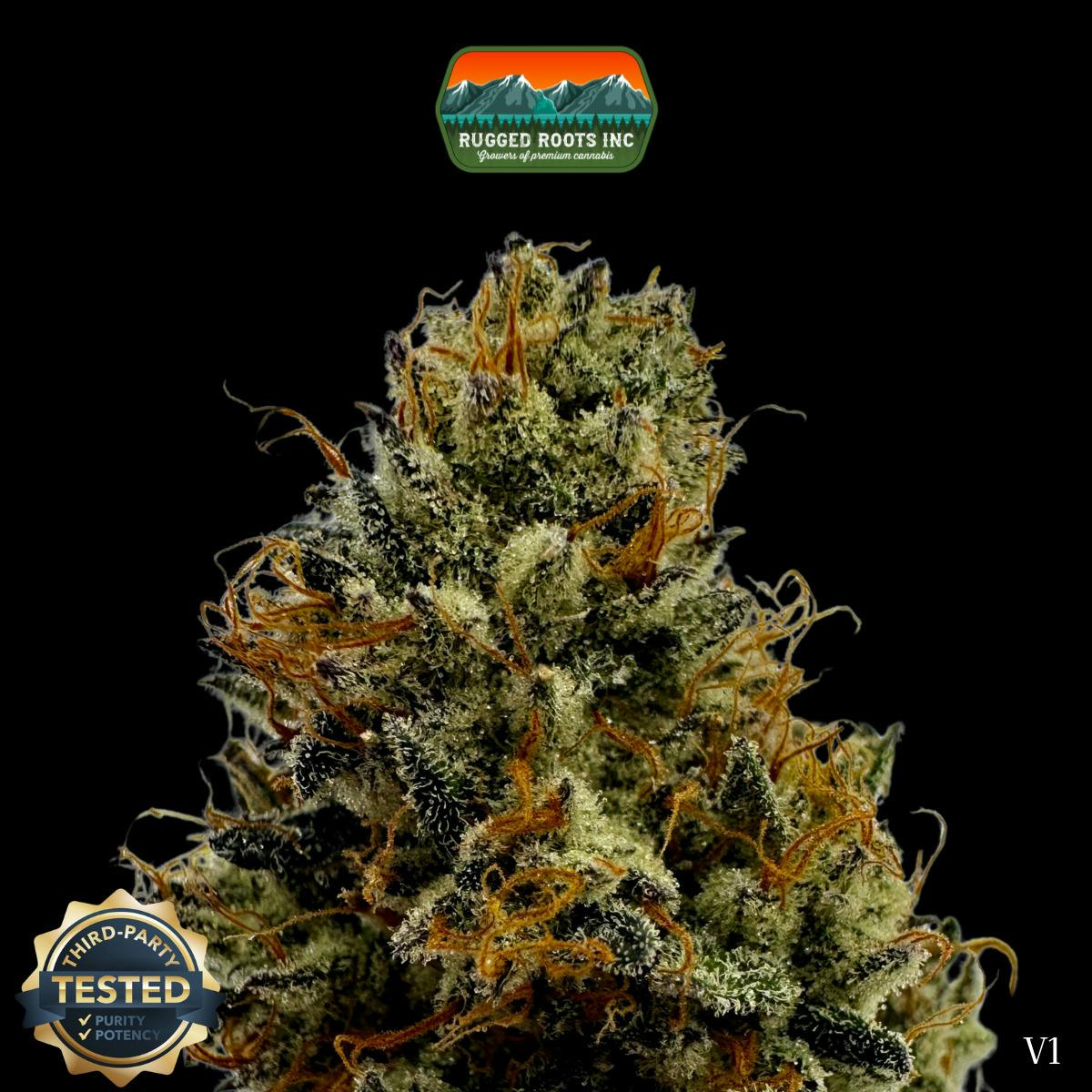 Rugged Roots | 22 Grapes Dime Bag