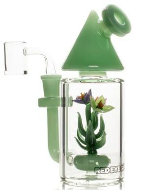 Red Eye Glass 7" Terrarium Concentrate Rig with Hole Perc- Multiple Colours