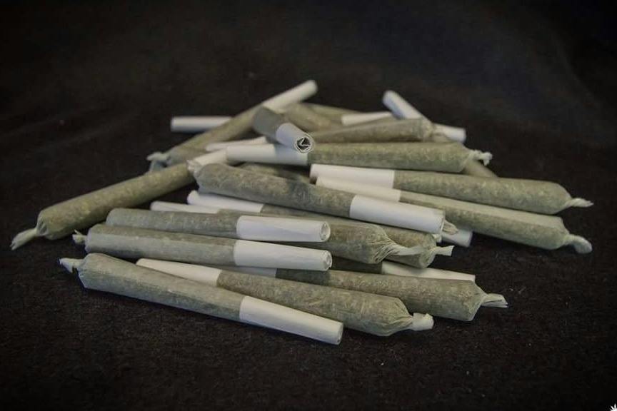 .5g | Purple Monkey Balls | Preroll | Arctic Earth