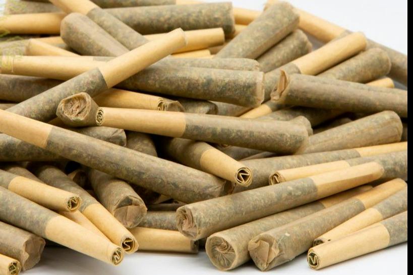 .5g | Gods Blue Cheese | Preroll | Arctic Earth