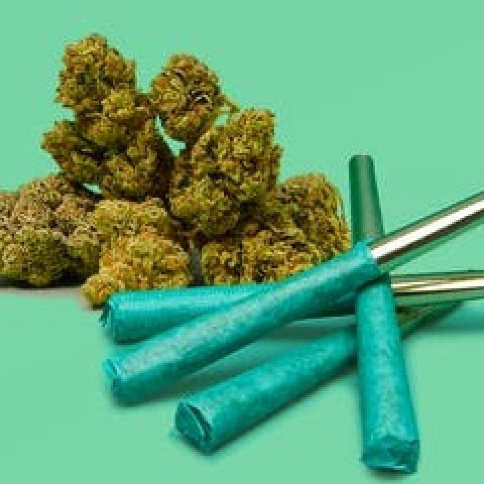 * .5g | GMO | Preroll | House OP