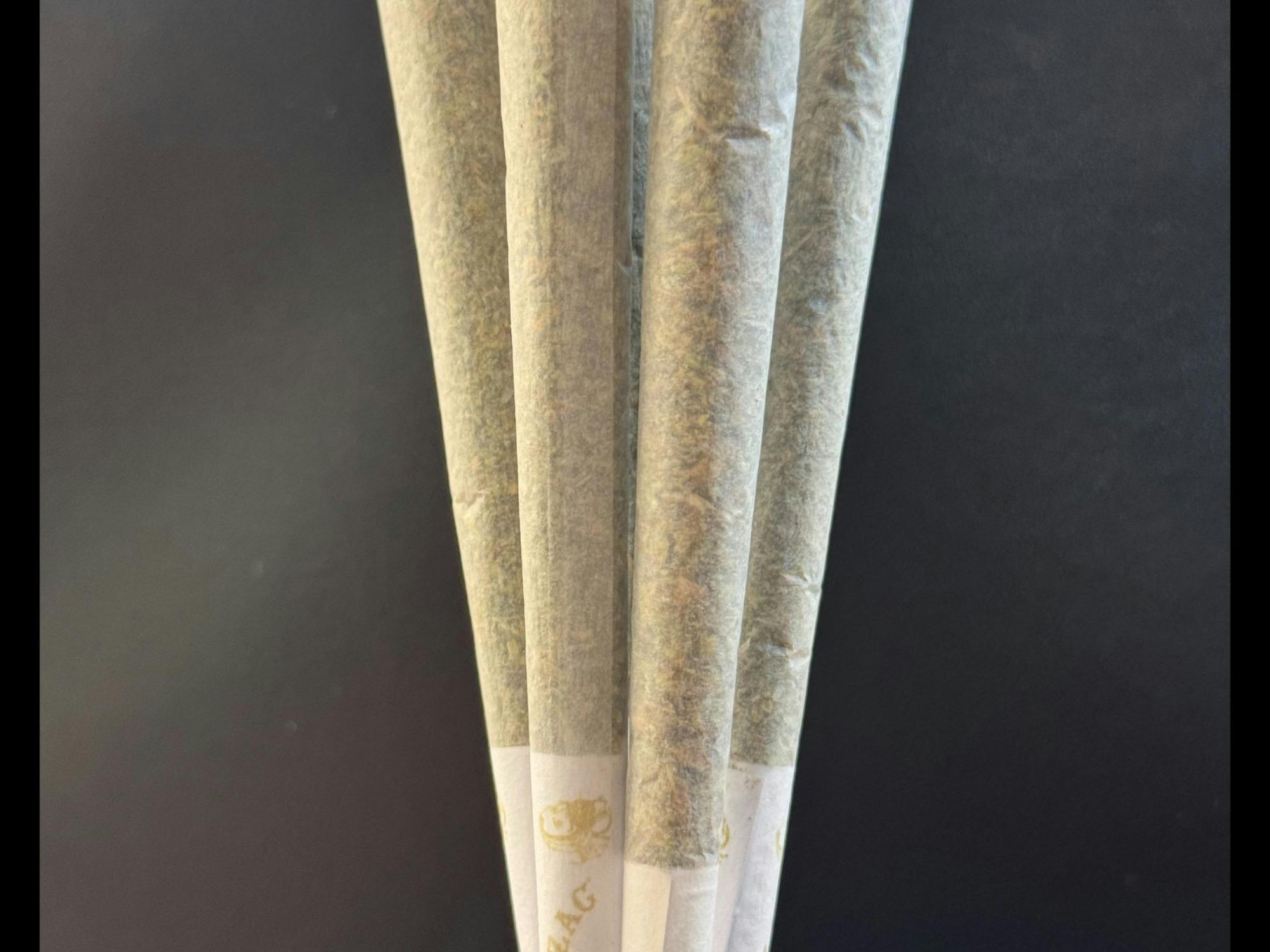 *Thai Lights 2 | Preroll | Arctic Earth