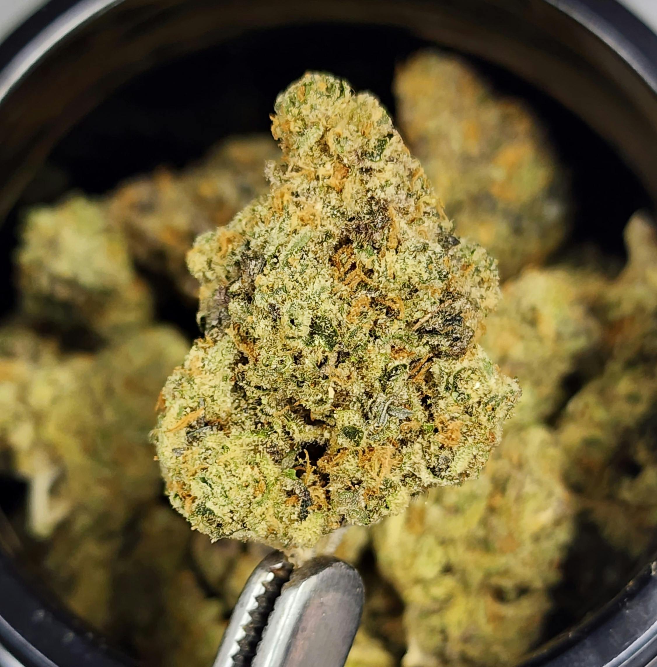 Frost Boss Bulk Flower By Alaska Cannabis Exchange