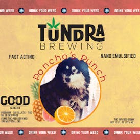 Poncho's Punch 100mg Drink By Tundra Brewing