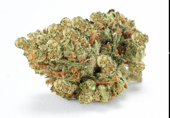 Burnout 14g Bag