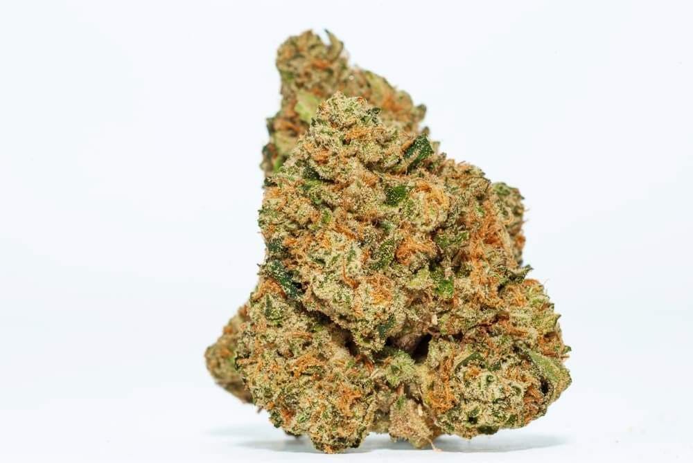 Ice Cream Pie | HYBRID | 3.5 Grams