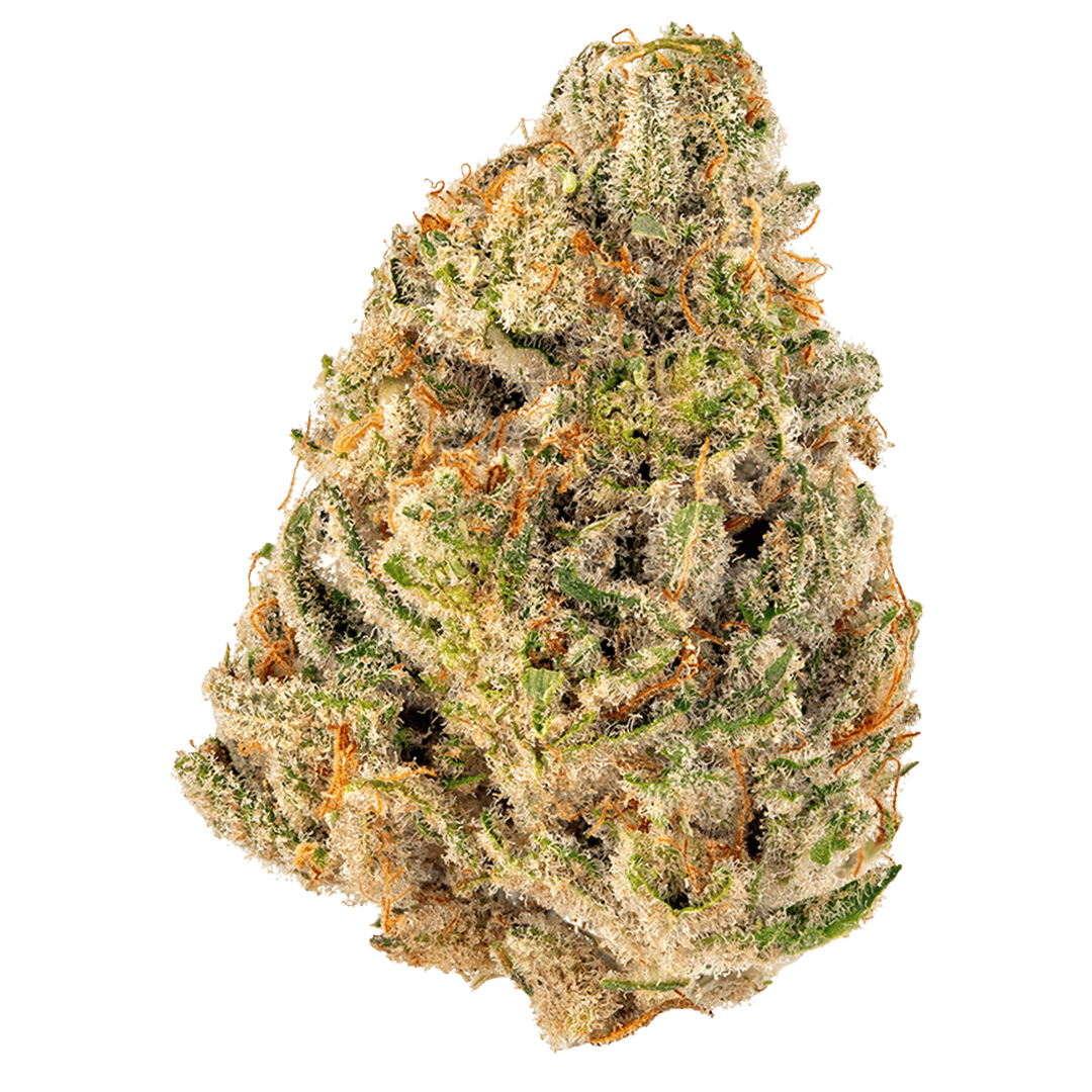 Cheetah Piss | HYBRID | 3.5 Grams