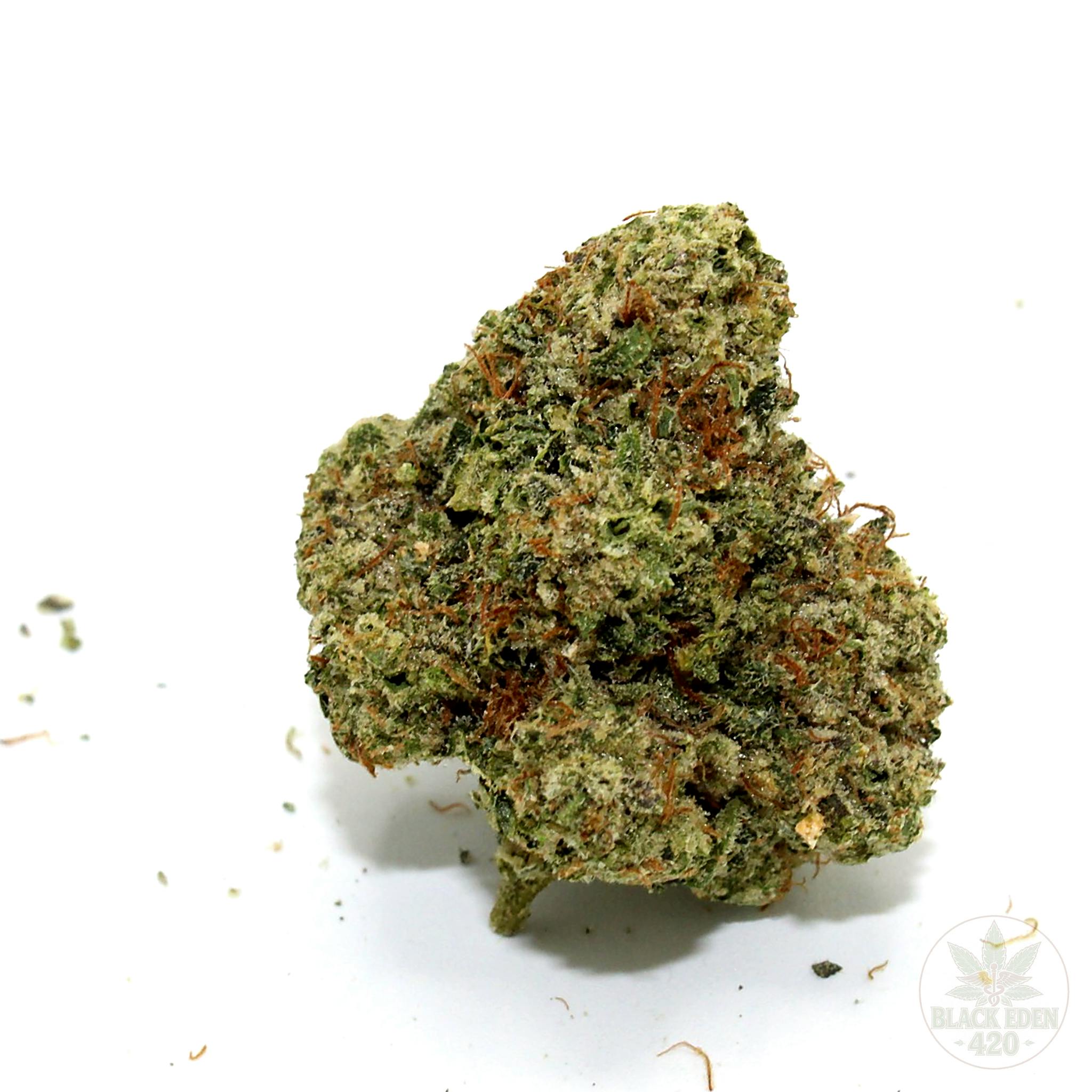 WIFI OG | 14 Grams