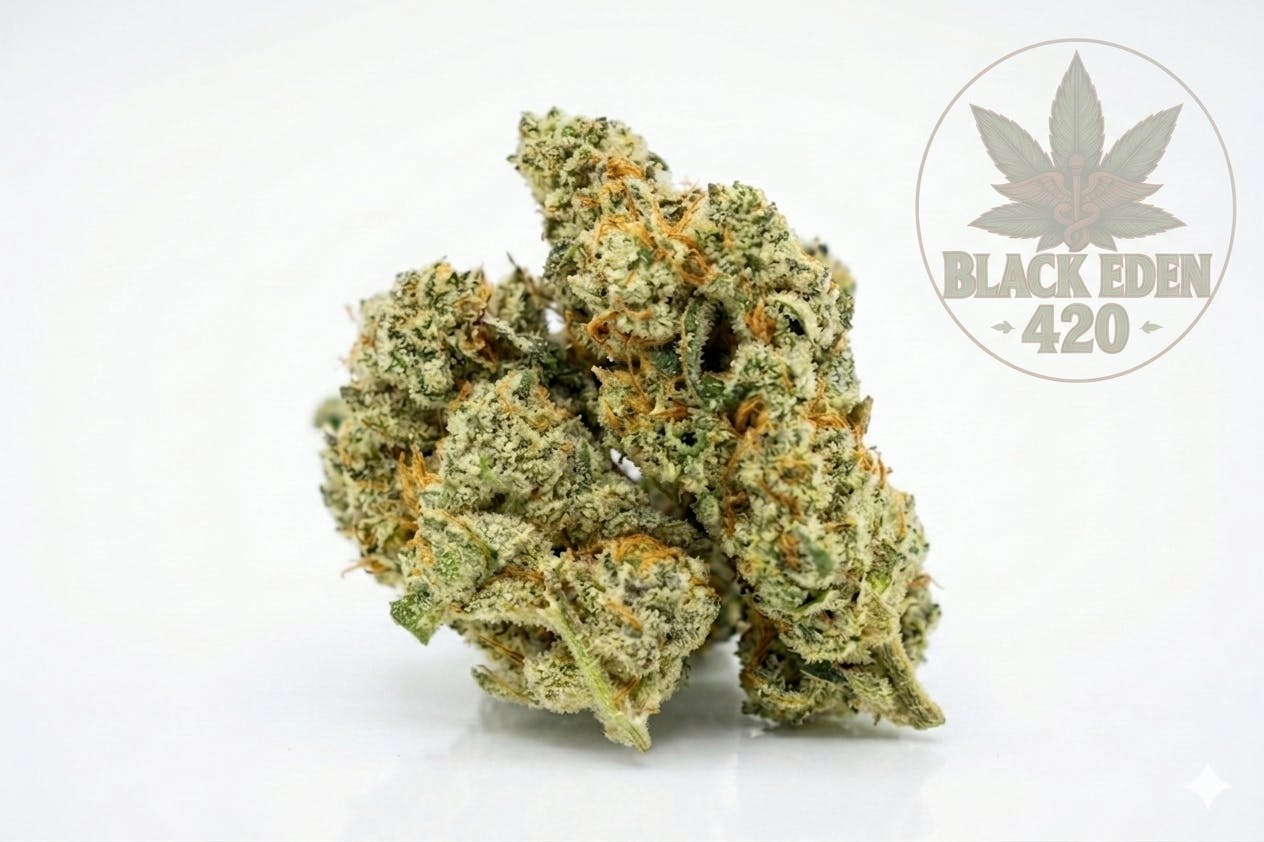 Lantz | HYBRID | 14 Grams