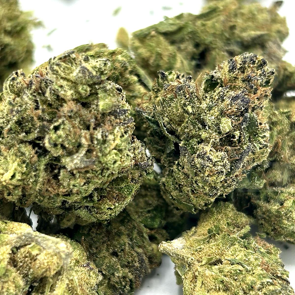 Kept Secret | HYBRID | 14 Grams