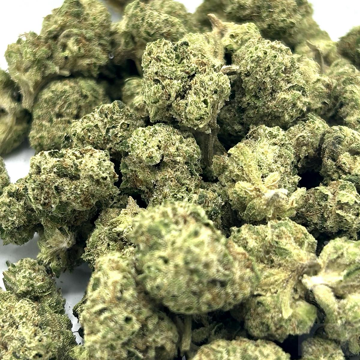 Cereal Milk | HYBRID | 14 Grams