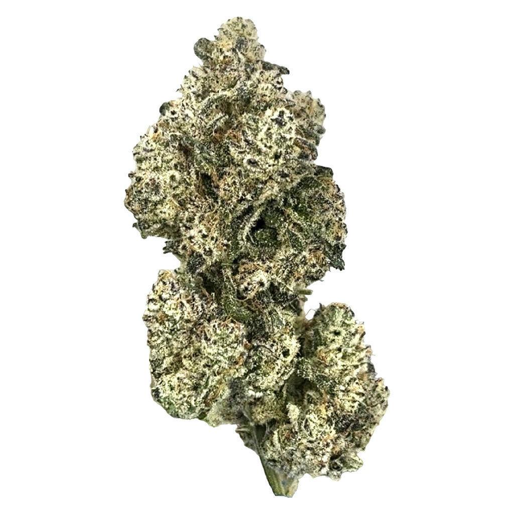 HighXotic - Royal Dive#5: Purple Zombie - 3.5g