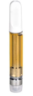 Jetty Extracts - — Jack
