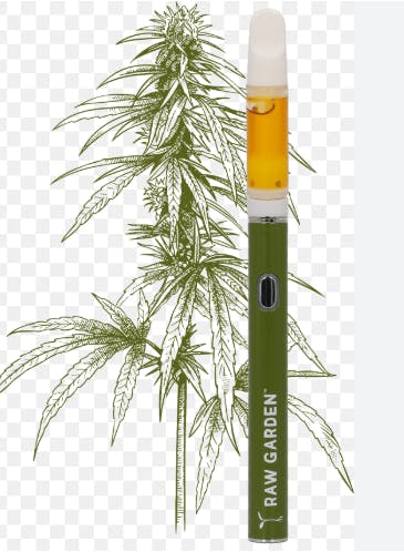 Raw Garden - — Gravy - Rtu