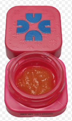 Casual — Jelly Cake