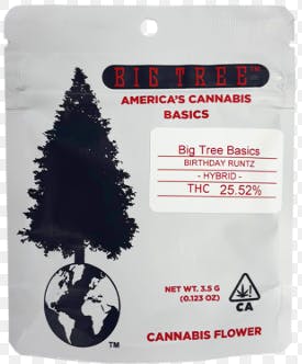 Big Tree — Basics - Sunset Fritter