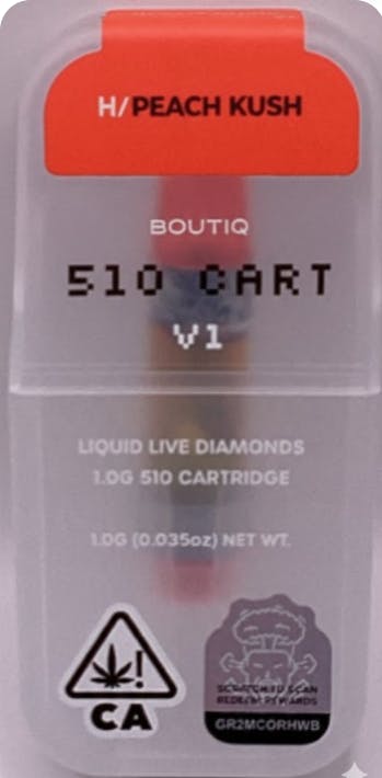 BOUTIQ — Liquid Live - Slimeade