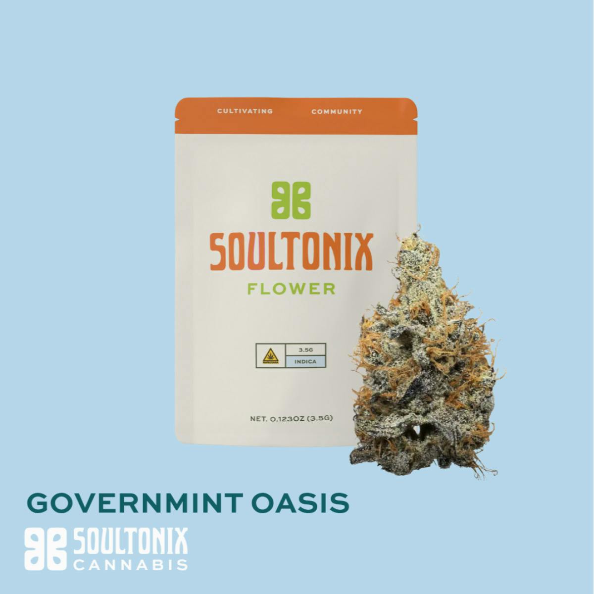 Government Oasis