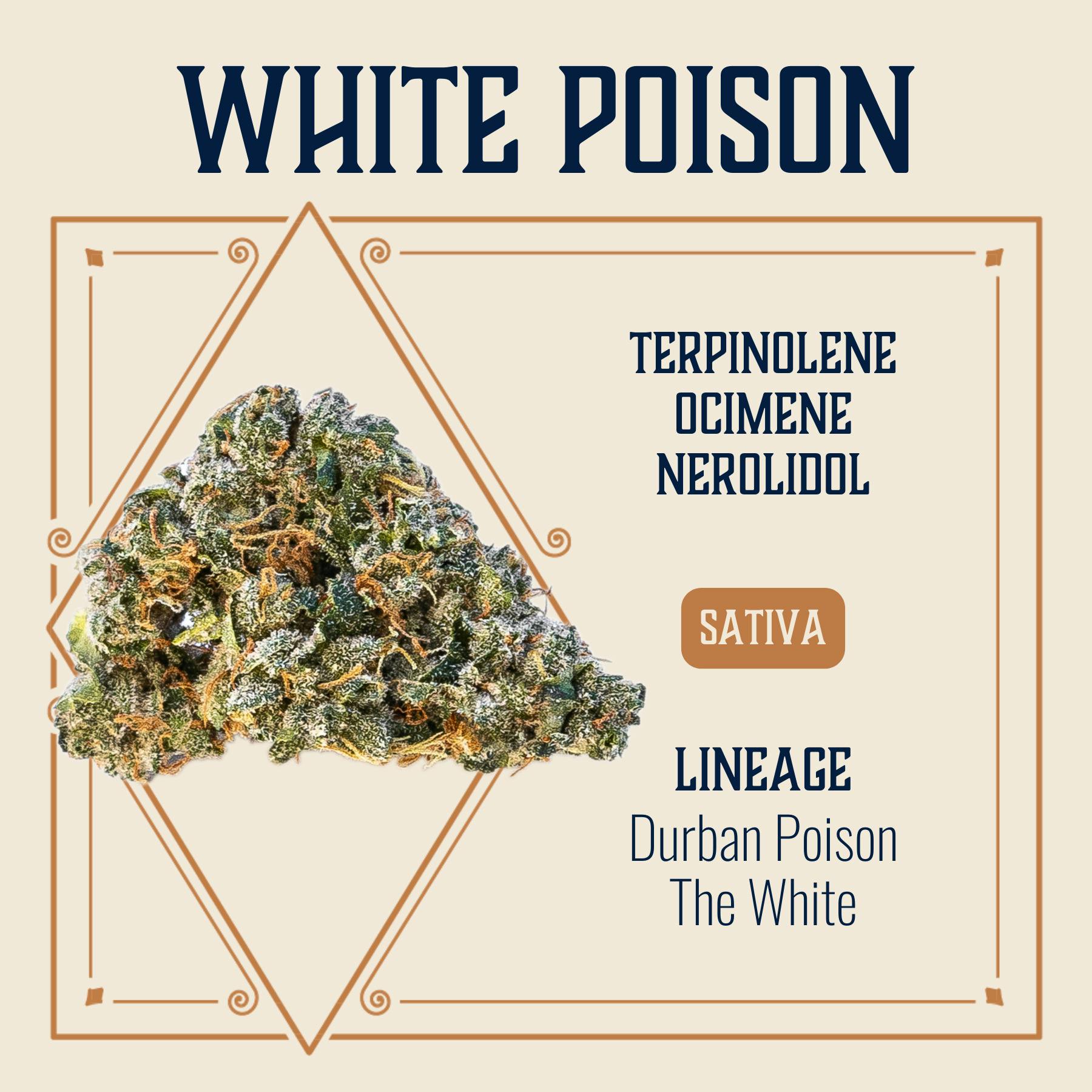 Elevate: Flower | White Poison