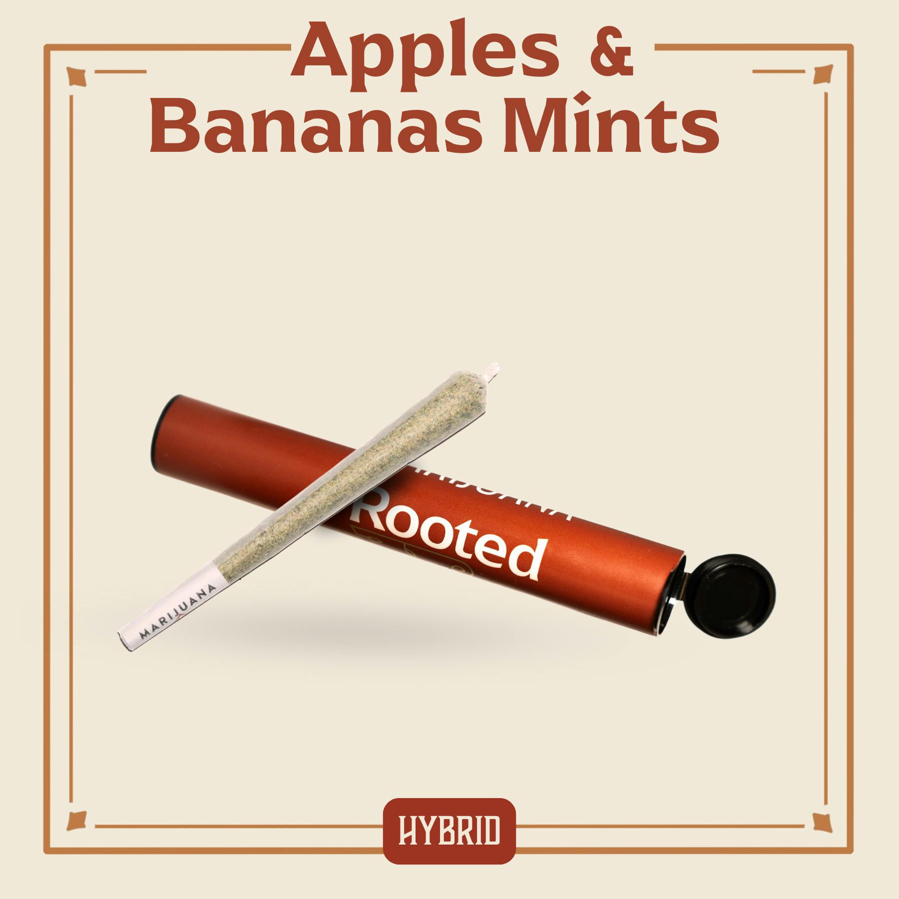 Rooted: Pre-Roll | Apples & Bananas Mints
