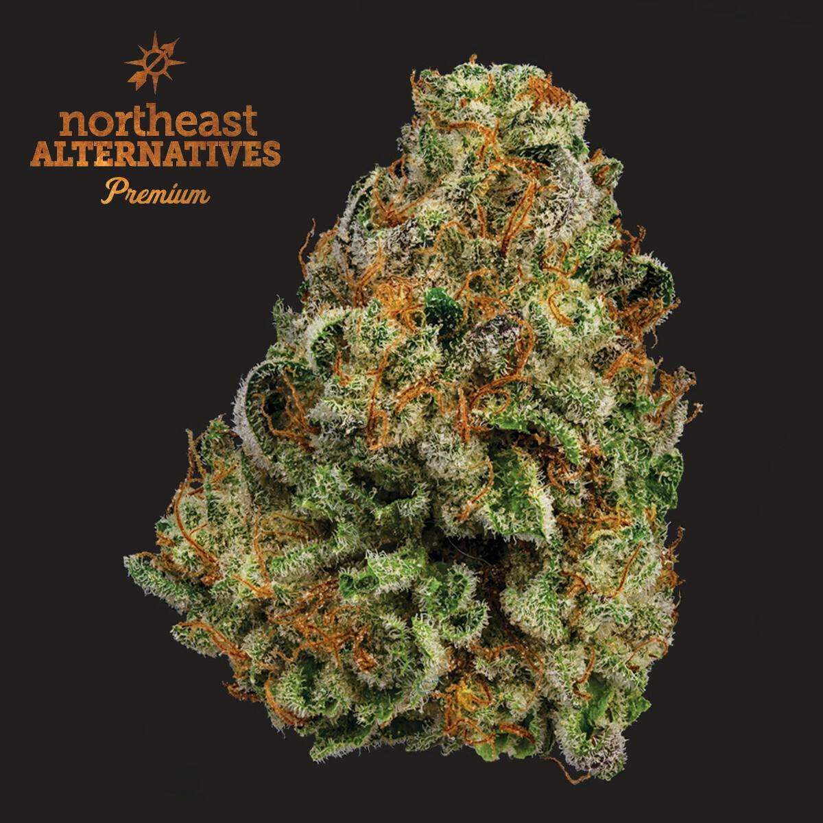 Flower | Gary Payton | 3.5g | NEA Premium Hybrid