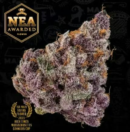 Flower | Tropicana Cherry | 3.5g | NEA Awarded